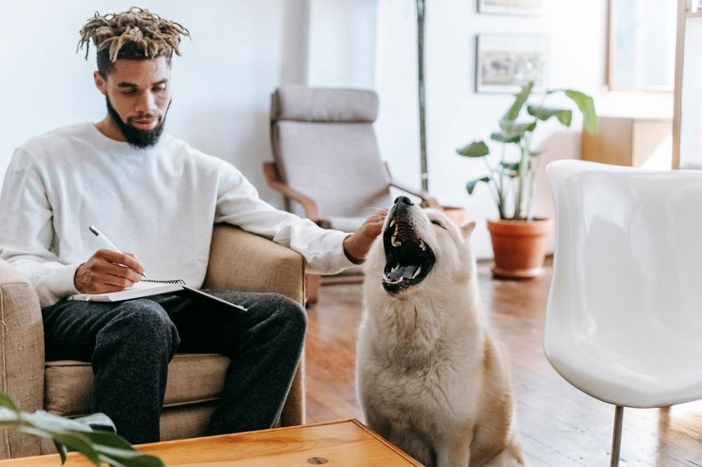 A dog owner writing sitter notes in a notebook while his white dog sits beside him